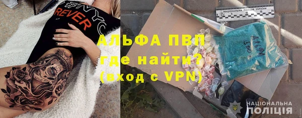 стаф Кинешма