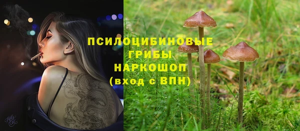 стаф Кинешма
