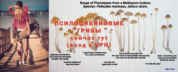 стаф Кинешма